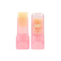 Ushas Stick Rose Foot Care Cream - 6.5 gm
